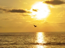 Imagen Atardecer playa